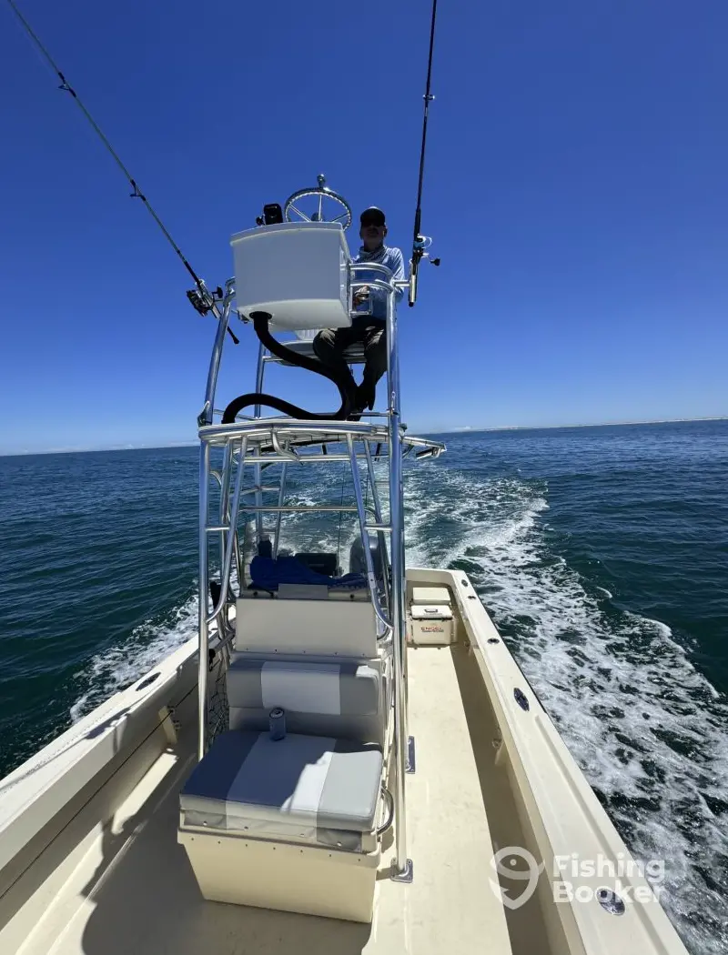 Endless Summer Charters