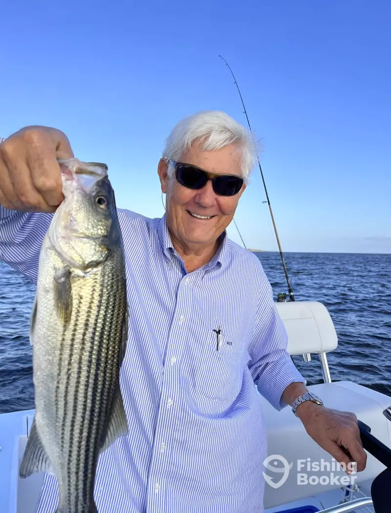 charter image 6