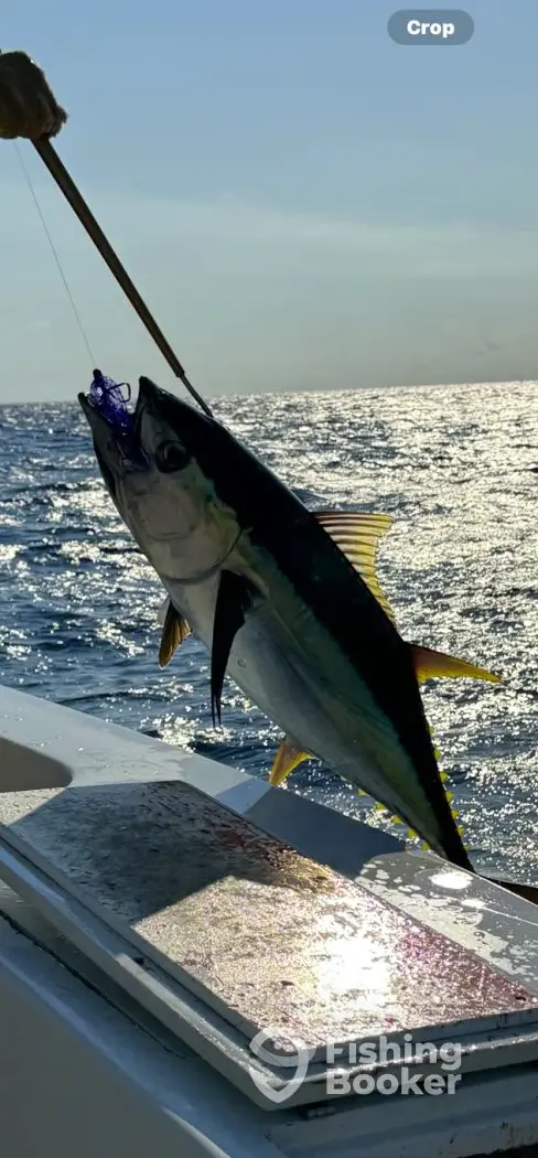 Outrigger Sportfishing