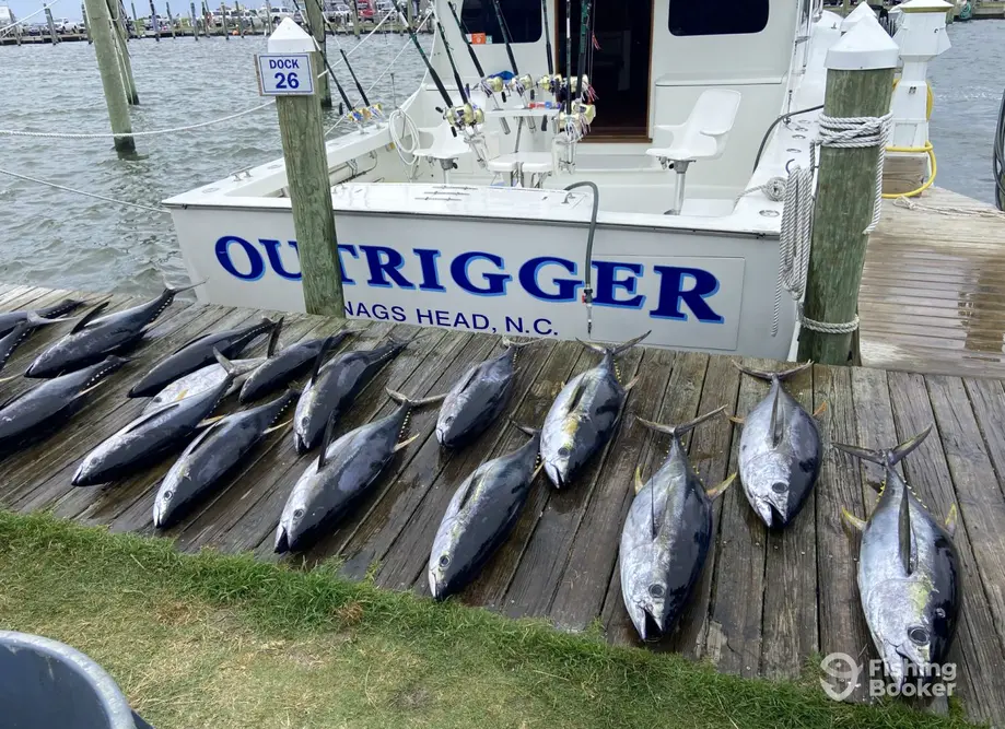 charter image 5