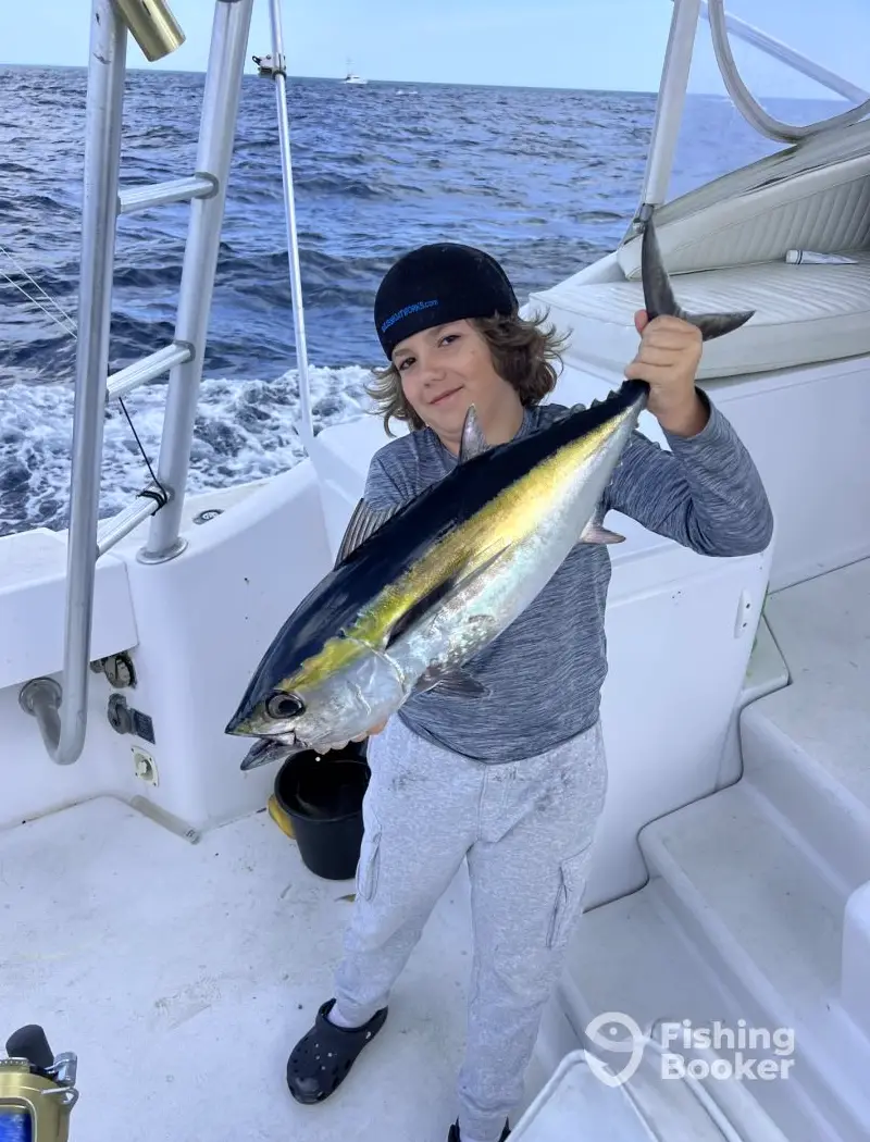 charter image 3