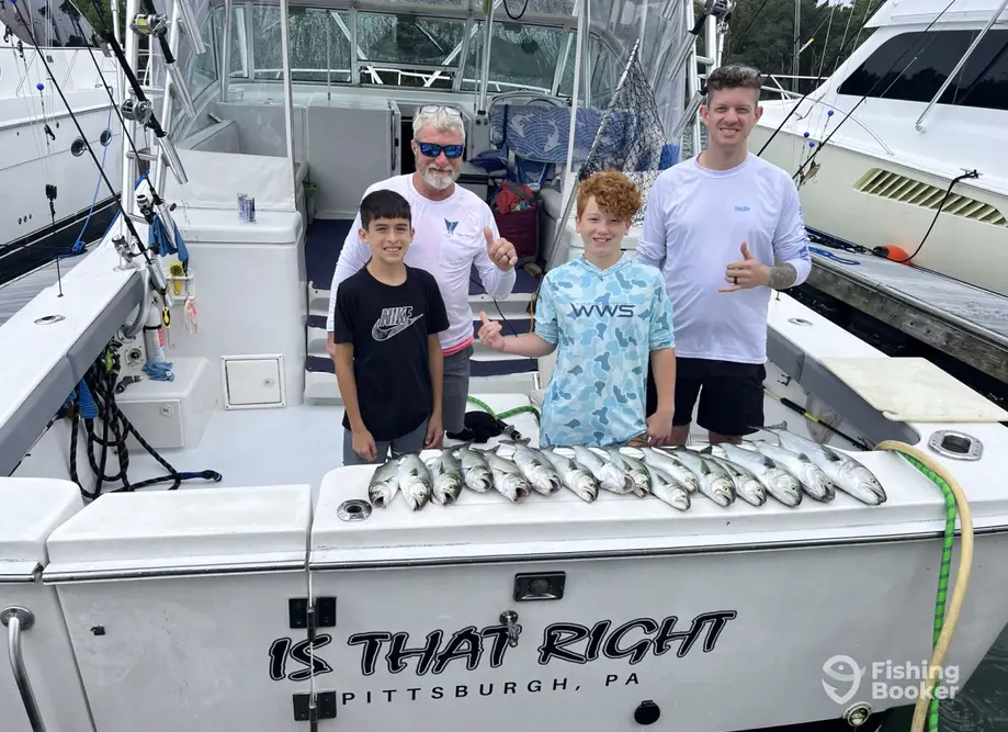 charter image 5