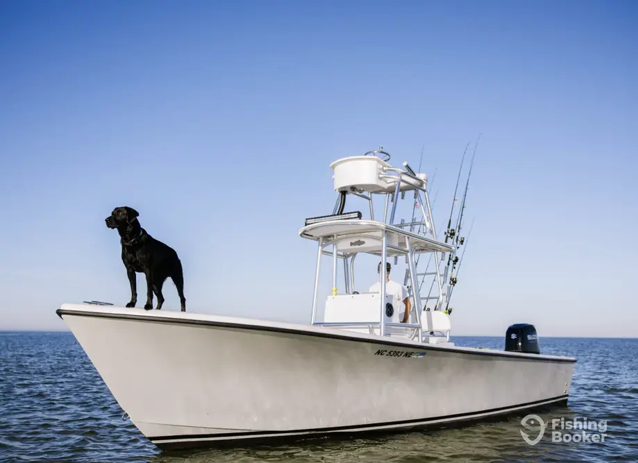 Fish Hatteras