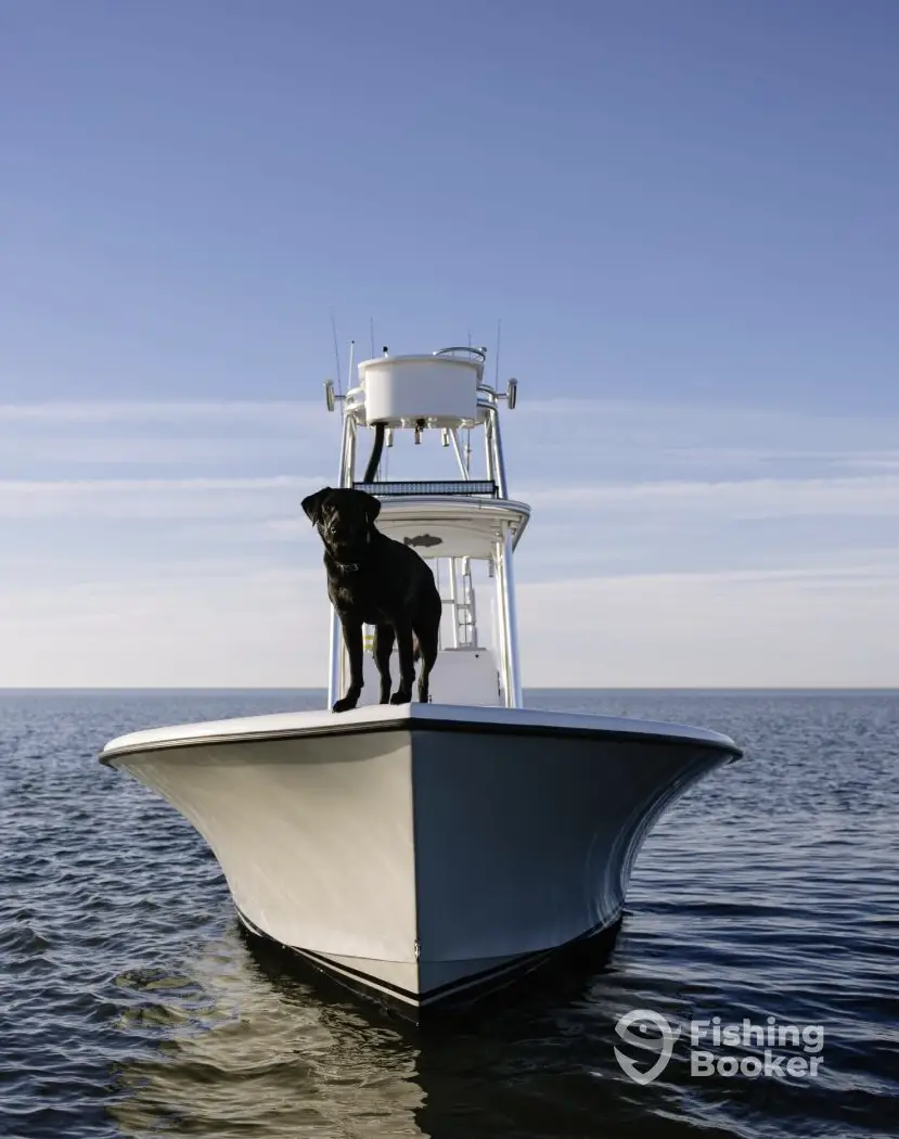charter image 4