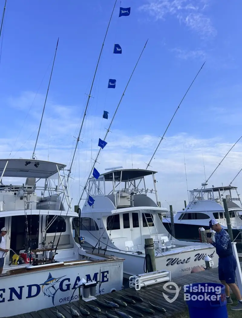charter image 2