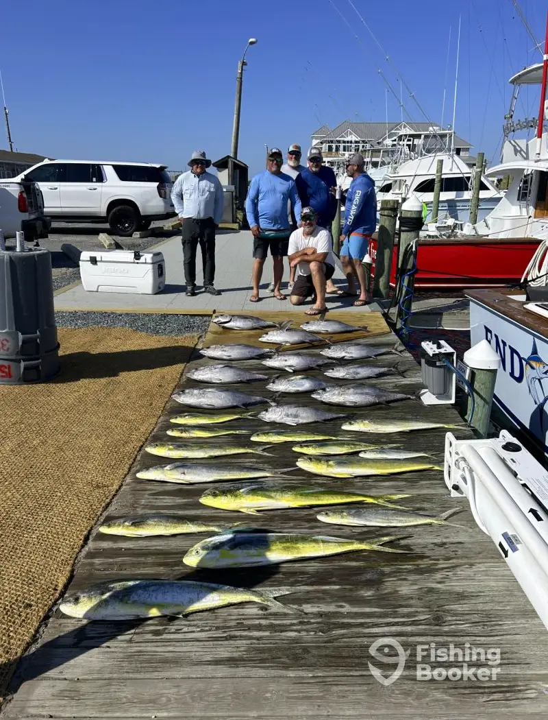 charter image 3