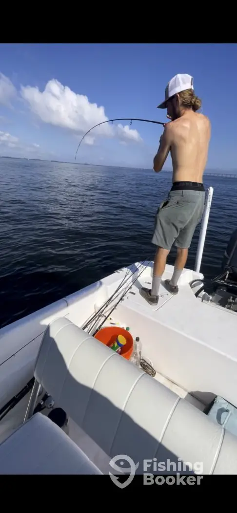 charter image 6