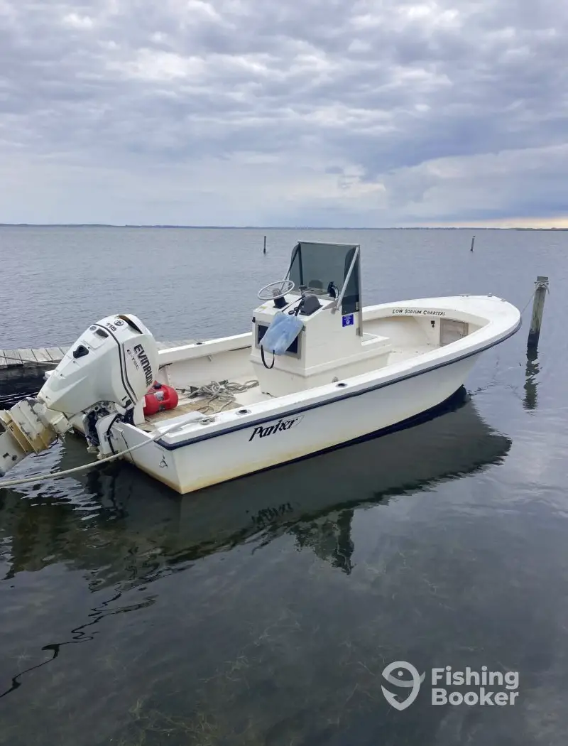 Low Sodium Charters