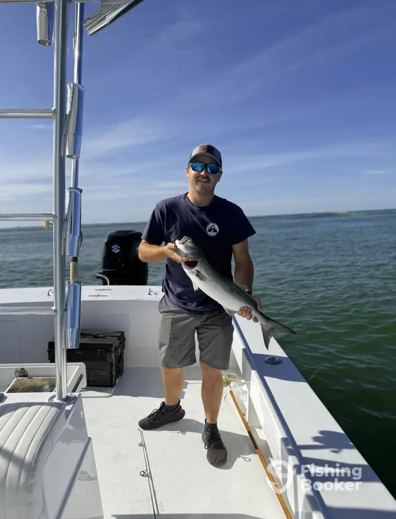Blue Line Charters LLC