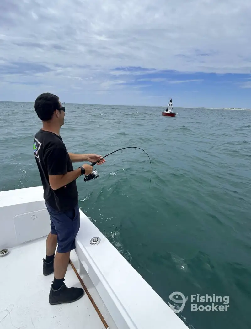 charter image 5