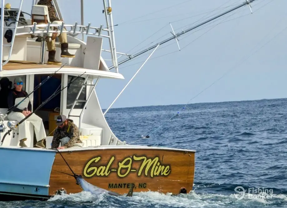 charter image 3