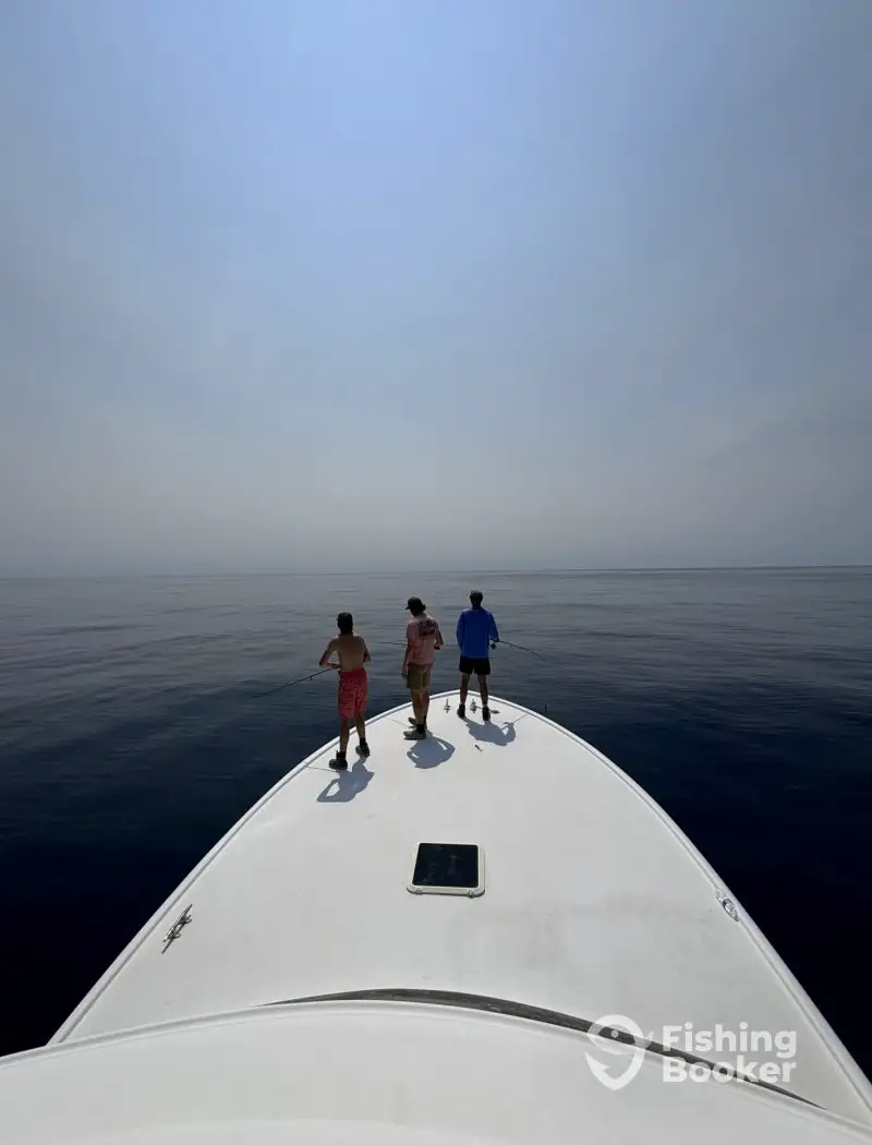 charter image 6