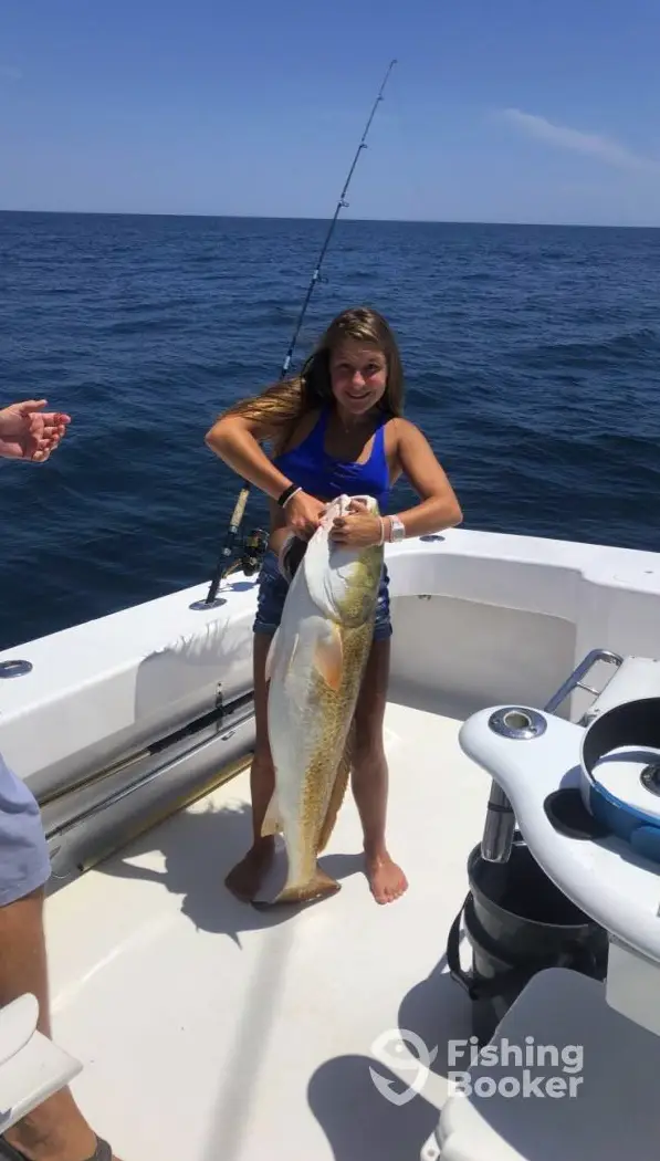 charter image 4