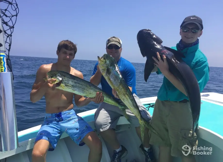 charter image 2