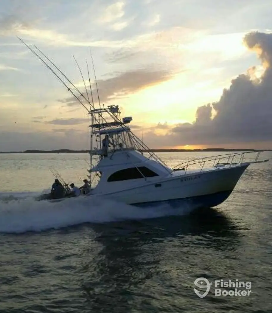 charter image 2
