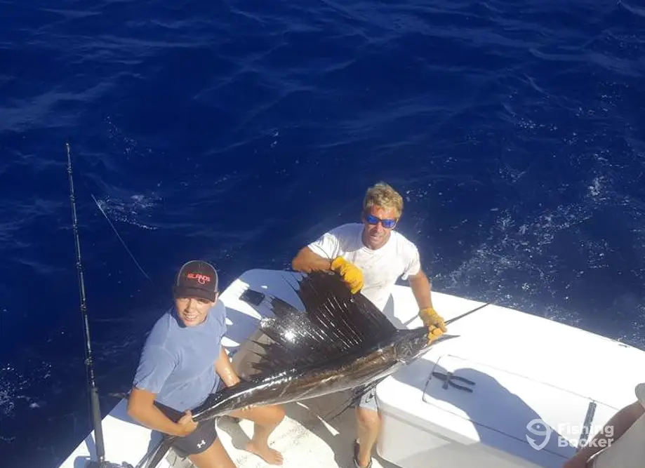 Gecko Sportfishing