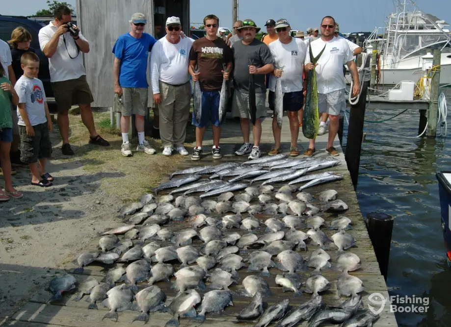 Gill Net Fishing Atlantic Croakers off Outer Banks North Carolina
