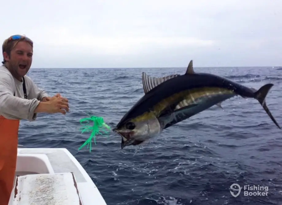 charter image 3