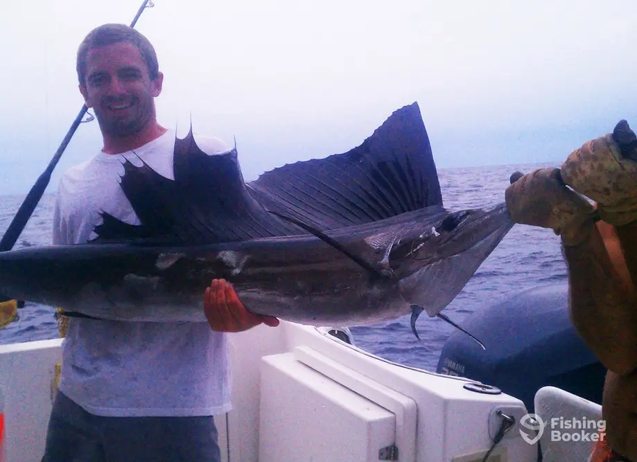 charter image 6