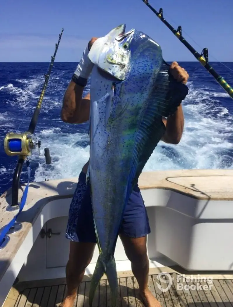charter image 5