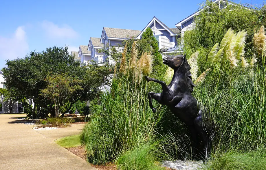 K9014 The Black Stallion