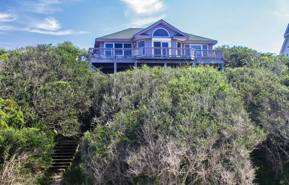 The Treehouse #2-BB