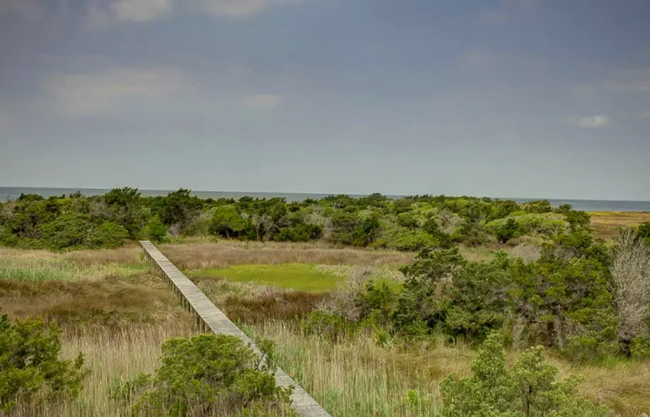 rental image 3