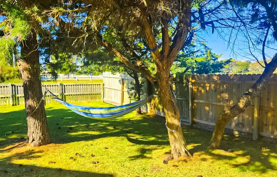 rental image 3