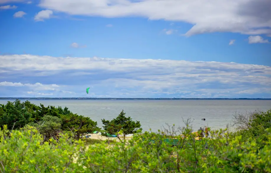 rental image 6