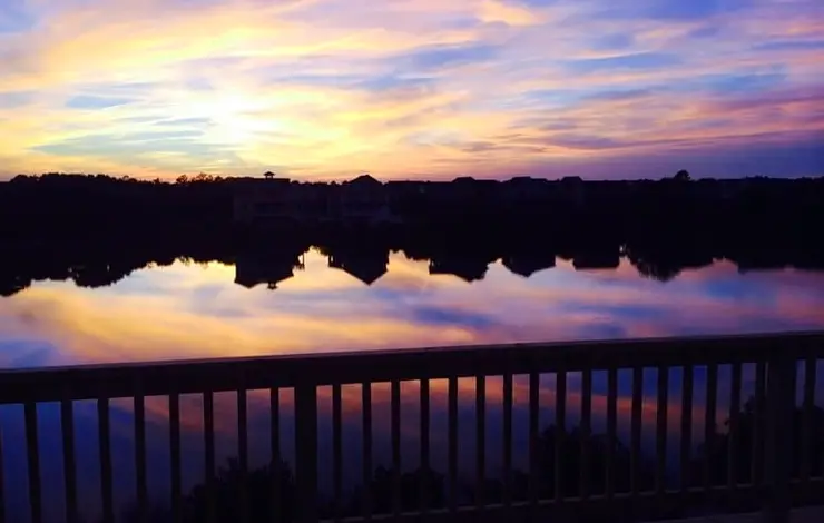 CAROLINA WAVES