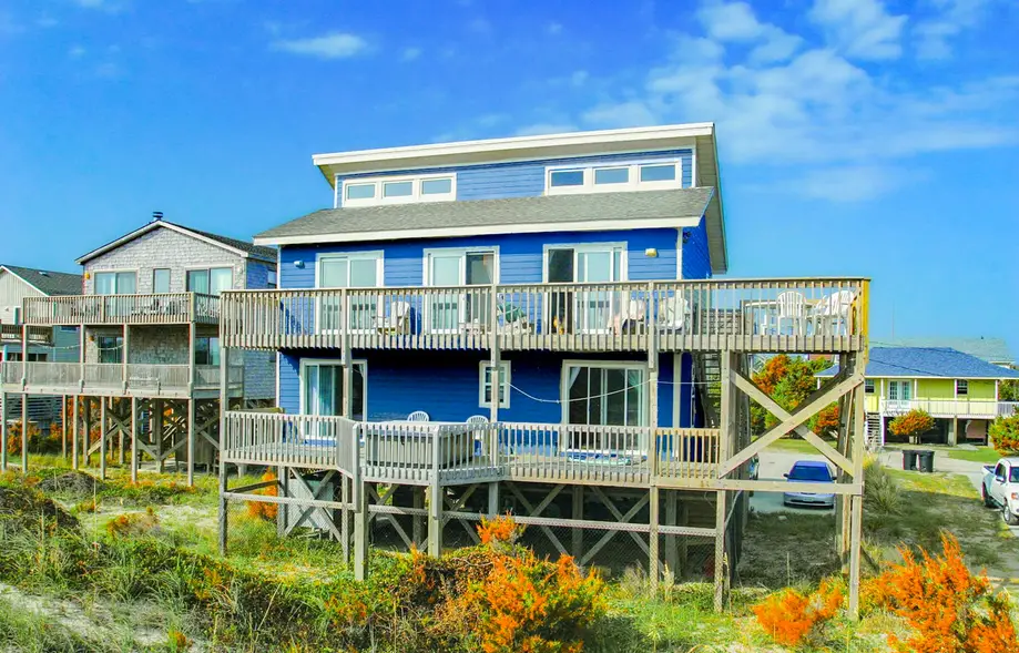 AVHC13 Sand Dollar #13-HC