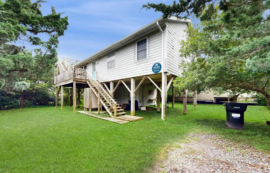 AV054 Blue Dolphin 054