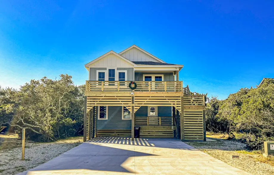 The Green Turtle and the Nest