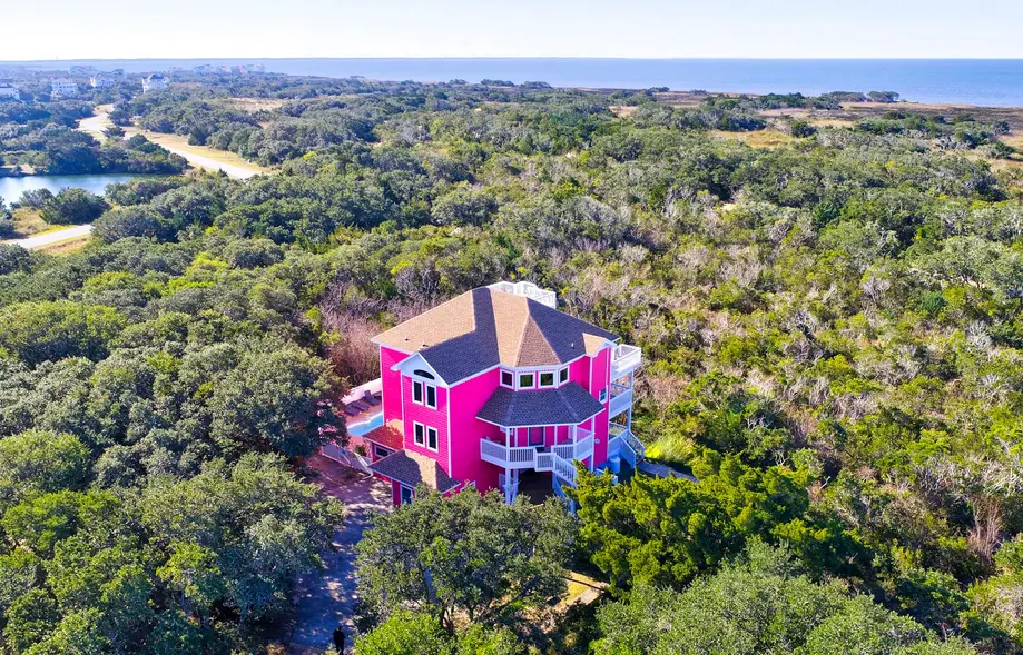 AVKS100 The Pink Flamingo