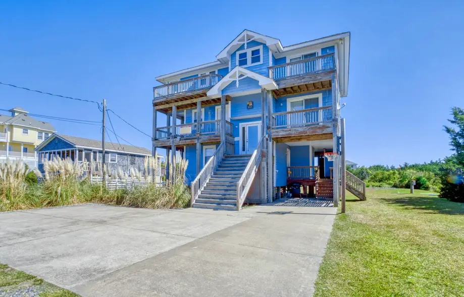 SO718 Lion in the Sun