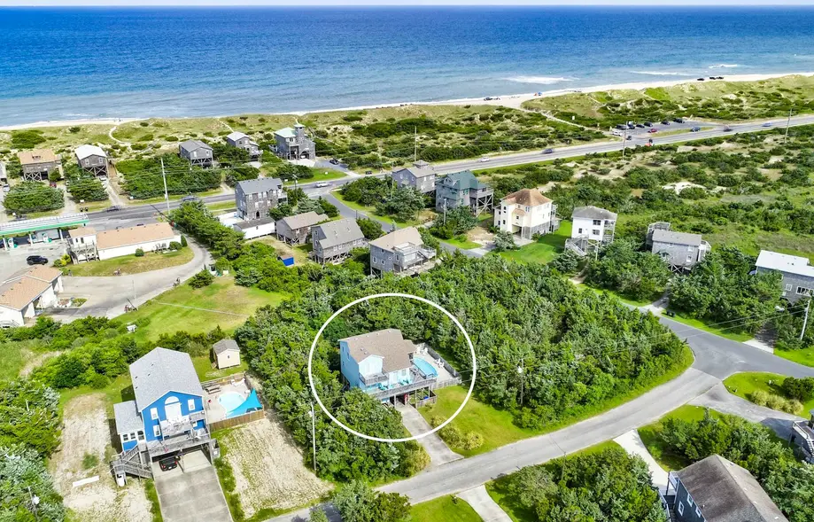 AV904 Sugar Bean Shack