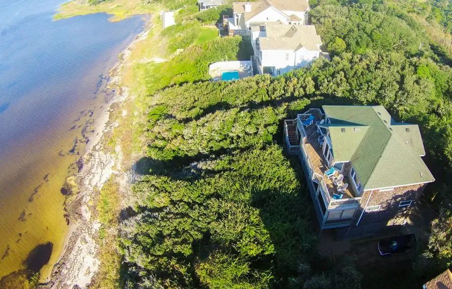 BXPO2 The Treehouse #2-BB