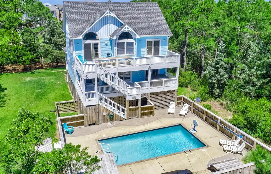 The Seagull's French Fry