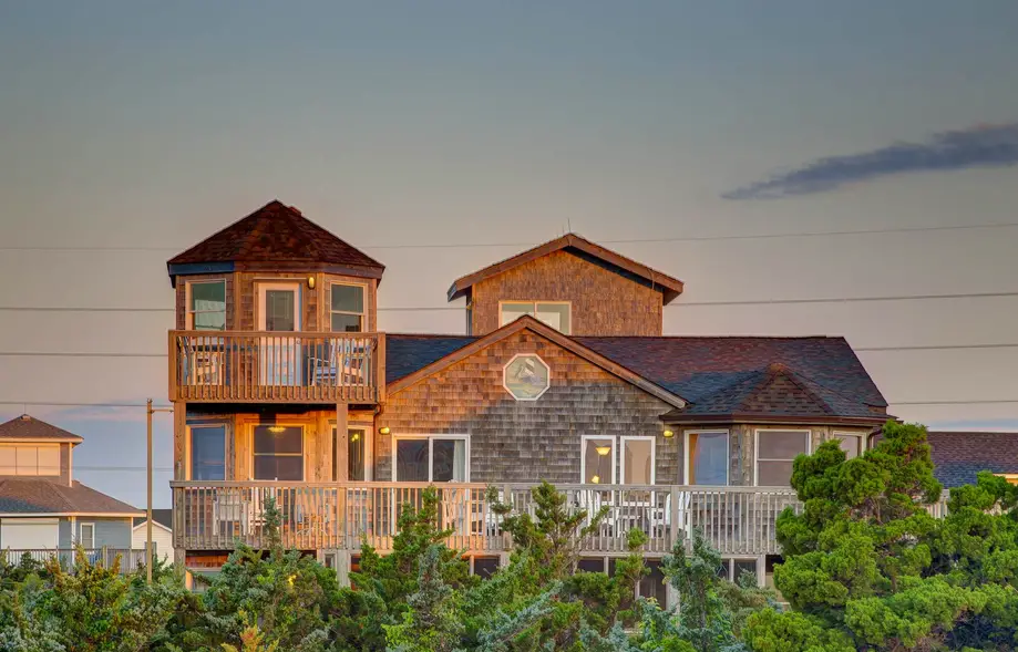 AV319 Pelican Watch 319